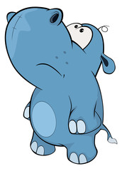 A little hippo. Cartoon