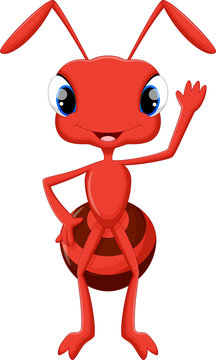 Illustration of cute ant cartoon