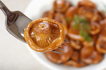 Salty saffron on the background of plates with mushrooms
