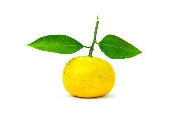 orange isolated on white background