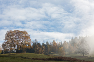 Obraz premium automne dans les Vosges