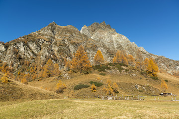 Autumn colors at the Devero Alp