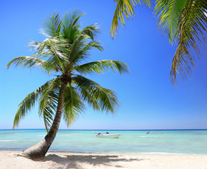 Fototapeta na wymiar Exotic Beach in Dominican Republic, punta cana