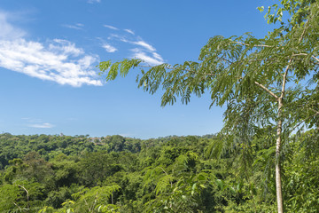 Iguazu Park Aerial View