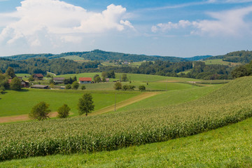 Typical landscape of the Slovenian village in hilly area.