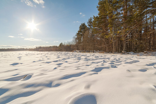 Fototapeta winter field.