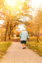 Fototapeta premium Senioren machen Spaziergang imPark