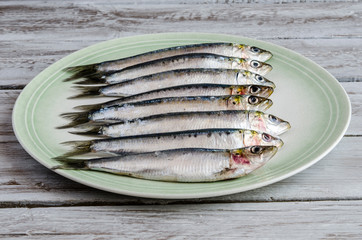 Fresh sardines