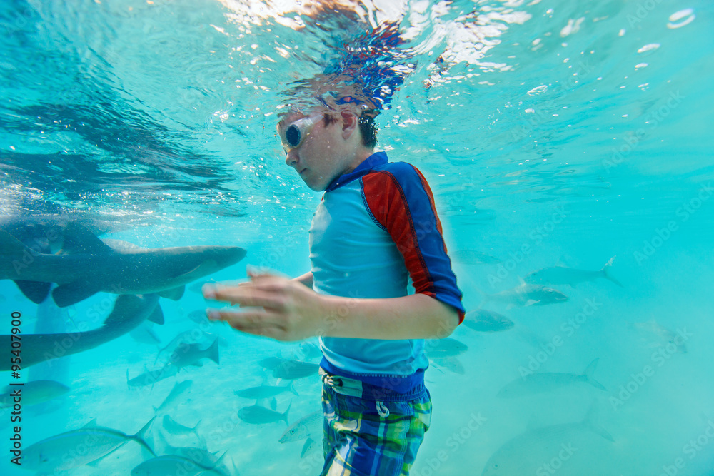 Sticker boy swimming underwater with nurse sharks