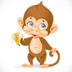 Cute baby monkey with banana stand on a white background