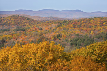 Fall foliage in woods of western Connecticut, from Mohawk Mountain.