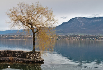 Le Bourget du Lac (Savoie)