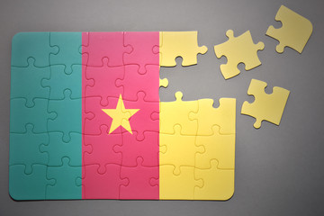 puzzle with the national flag of cameroon