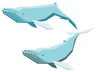 Humpback whale set