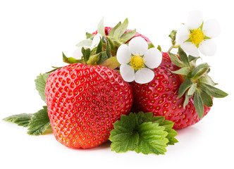 strawberries with flowers isolated on the white background