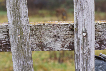 Part of the old wooden fence.
