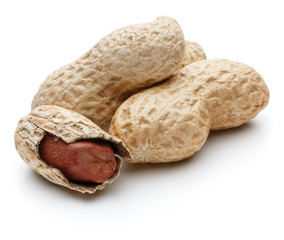 peanut pod or arachis isolated on white background cutout