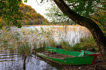 barque verte bord de  lac en automne