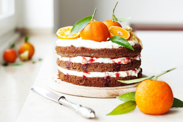 chocolate cake with mandarin oranges