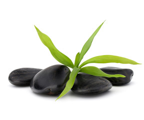 Zen pebbles. Stone spa and healthcare concept.
