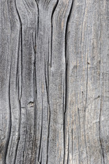 Old cracked wooden plank texture