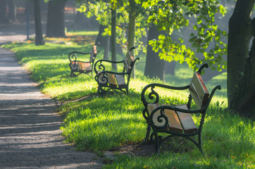Fototapeta Alley in the park with three benches obraz