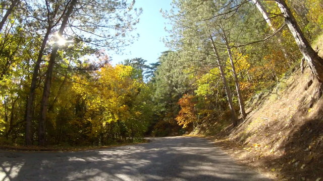 beauty of autumn forest while driving on a mountain road, GoPro