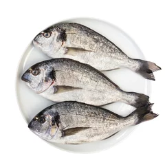 Cercles muraux Poisson Fresh dorada fish on white plate isolated over white. Top view