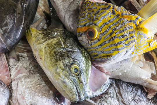 Fischmarkt in Kuta