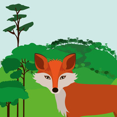 animal wildlife design 