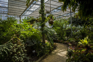 Ogród botaniczny © prozaque