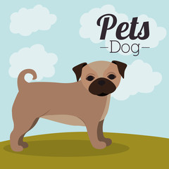 pet dog design 