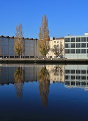 Fototapeta na wymiar Trees and buildings mirroring in the Rhine