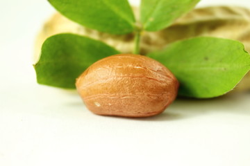 peanuts whole and peeled with leaves closeup
