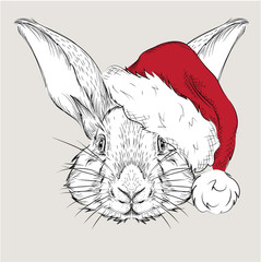 The christmas poster with the image rabbit portrait in Santa's hat. Hand draw vector illustration. - 95425141
