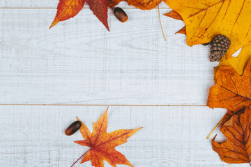 Colorful background image of fallen autumn leaves,pine cones and acorns on white wooden table. © tamara83