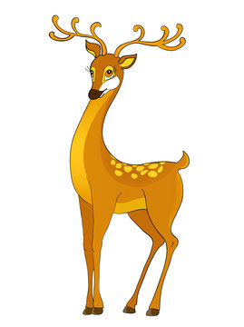 deer cartoon
