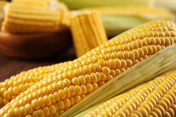 Ripe corn on wooden background