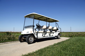 White golf carts at the green golf course