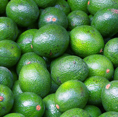 avocado