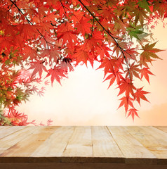 Naklejka na ściany i meble pastel fole of Japanese maple tree leaves colorful background in autumn and wood floor. Beauty natural background