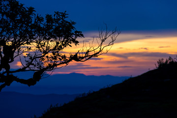Naklejka premium Sunset with silhouette tree on high mountain