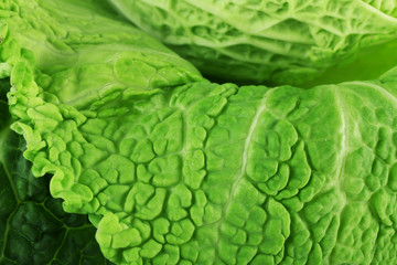 Leaf of savoy cabbage background, macro