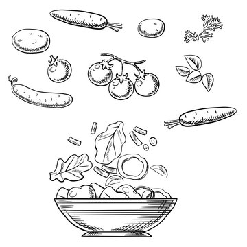 Cooking Fresh Healthy Vegetarian Salad Sketch