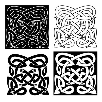 Celtic knot pattern of tribal snakes interlacement