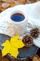 Cup of hot drink, knitting clothes, winter scarf on an old dry tree stump in the forest
