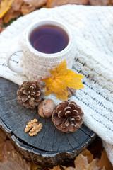 Cup of hot drink, knitting clothes, winter scarf on an old dry tree stump in the forest
