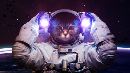 Beautiful cat in outer space. Elements of this image furnished by NASA