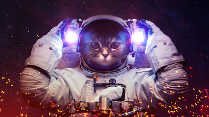 Obraz na płótnie Canvas Beautiful cat in outer space. Elements of this image furnished by NASA