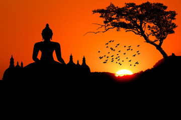Sunset with Buddha tree bird and Pagoda